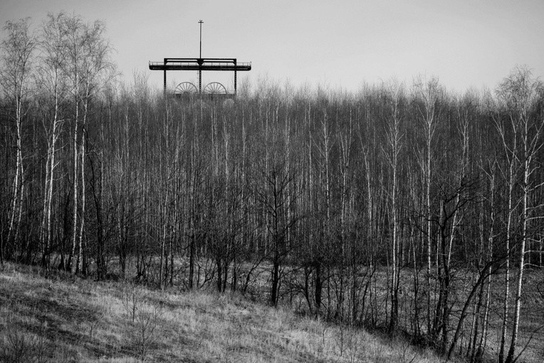 Śląska Fotografia Prasowa