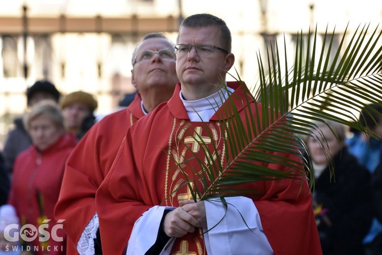 Niedziela Palmowa z rocznicą powstania diecezji.