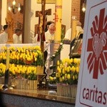 Święto Caritas - Brzesko 2018