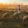 Niedziela Dobrego Pasterza w Karmelu