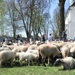 Święto Bacowskie w Ludźmierzu