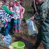 W zarybianiu pomagają uczniowie okolicznych szkół