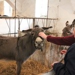 Misterium paschalne i Dzień Otwartych Drzwi w Krzyżowicach