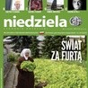 Niedziela 16/2018