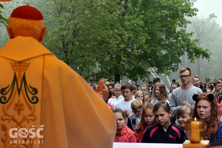 XIV Pielgrzymka Wałbrzyskiej Młodzieży na Chełmiec