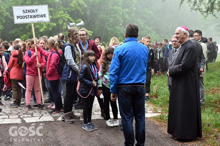 XIV Pielgrzymka Wałbrzyskiej Młodzieży na Chełmiec