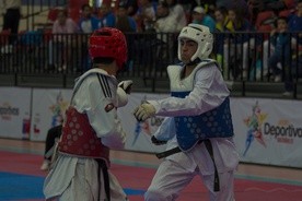 Zawodnicy Taekwondo z obu Korei zaprezentują swoje umiejętności papieżowi 