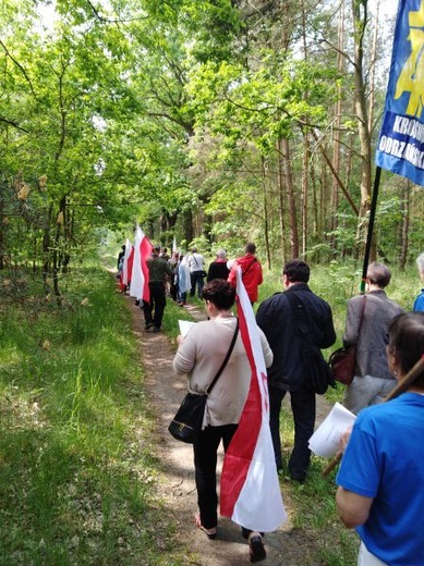 Marsz Niepodległości św. Maksymiliana