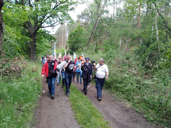 Marsz Niepodległości św. Maksymiliana