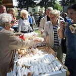 3. Pielgrzymka chorych i starszych w Hałcnowie