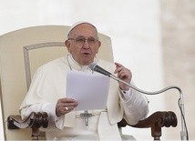 Papież zachęcił Polaków do troski o środowisko naturalne 