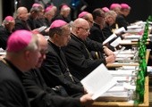 Wytyczne Pastoralne do Adhortacji „Amoris laetitia”