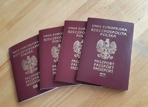 W kolejce po paszport