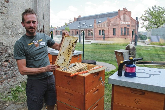 Łukasz Przybył z muzealnymi pszczołami.
