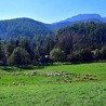 Taniec z widokiem na Tatry 