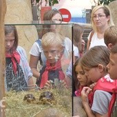 W czasie jednej z wycieczek dzieci odwiedziły zoo.