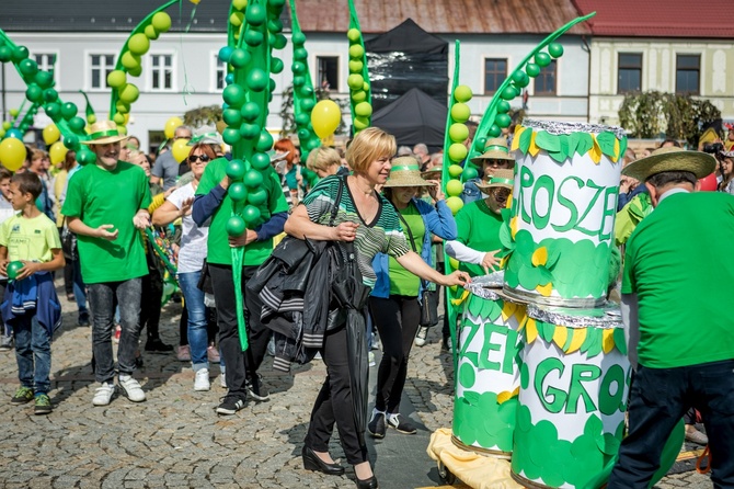 Skierniewickie Święto Kwiatów, Owoców i Warzyw - parada, cz. 2