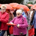 Seniorada Kulturalna 2018