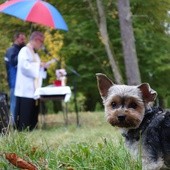 Błogosławieństwo zwierząt w Manowie