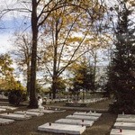 Tarnobrzeski cmentarz wojenny
