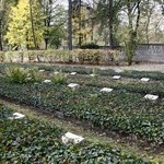 Cmentarz wojenny w Tarnowskich Górach