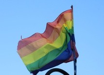 Raport o związku homoseksualizmu z nadużyciami seksualnymi