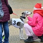 II Bieg Mikołajowy w Rabce