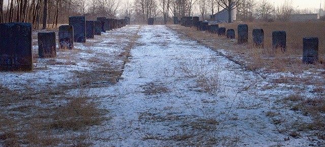 Cmentarz żydowski w Radomiu. Uporządkowane znaleziska w alei głównej. W głębi, po prawej – lapidarium.