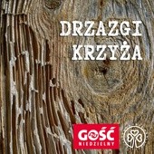 Drzazgi Krzyża