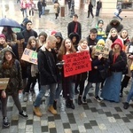 Młodzieżowy Strajk Klimatyczny w Lublinie