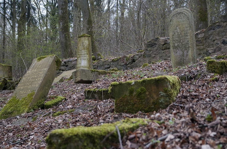 Sprzątanie żydowskiego cmentarza w Świdwinie
