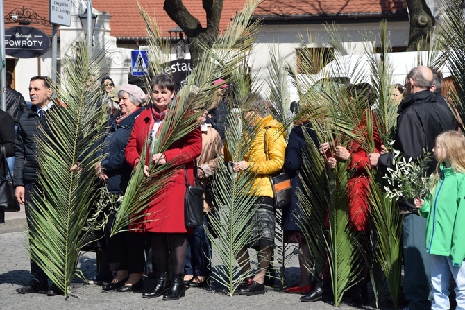 Niedziela Palmowa w Łowiczu
