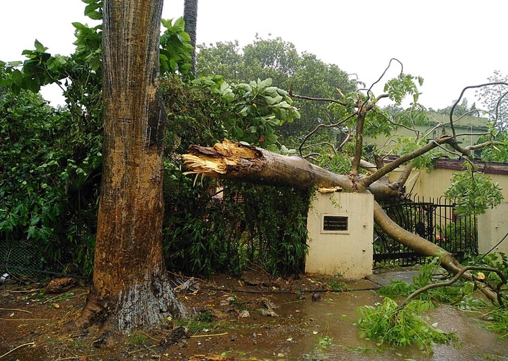 Indie: Cyklon Fani uderzył we wschodnie wybrzeże