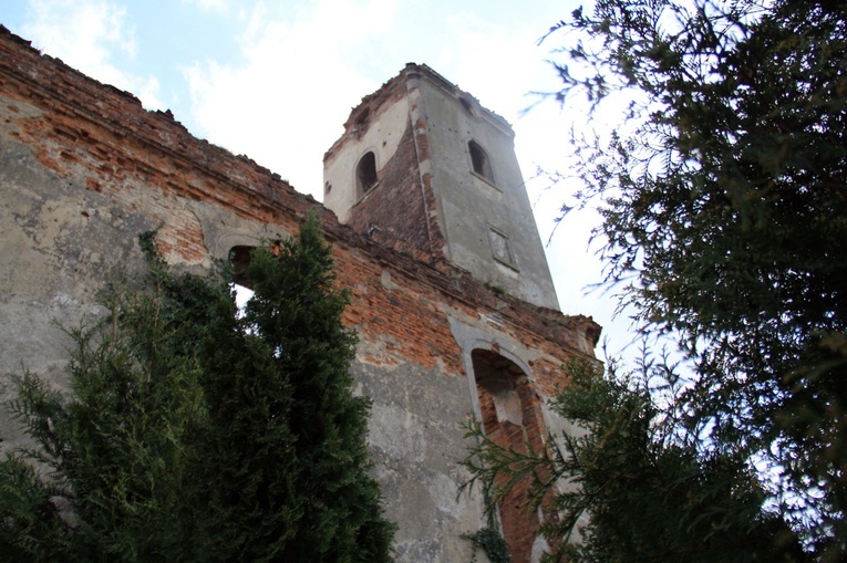 Rozumice: las i ruiny kościoła ewangelickiego