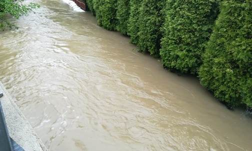Bielsko-Biała: alarm powodziowy [ZDJĘCIA]