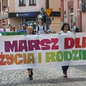 Marsz dla życia i rodziny w Łowiczu