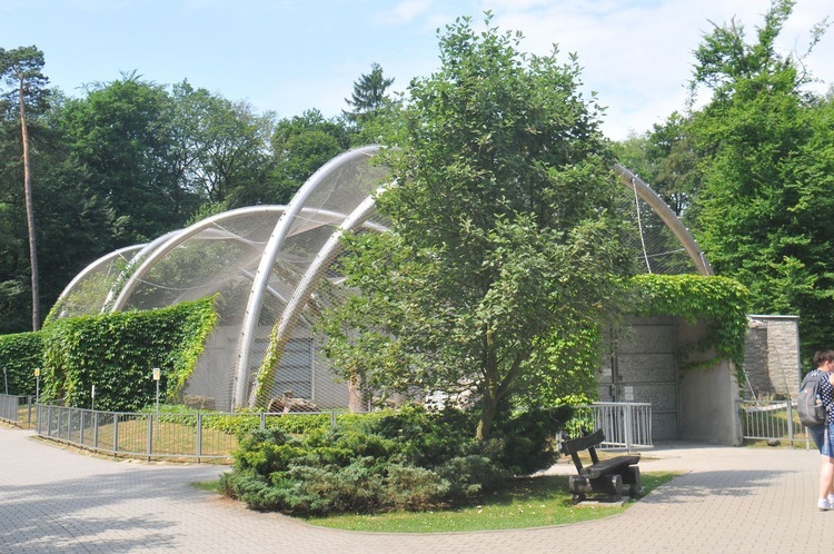 Krakowski Ogród Zoologiczny 2019