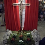 Wystawa "Oto Drzewo Krzyża"
