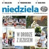 Niedziela 24/2019