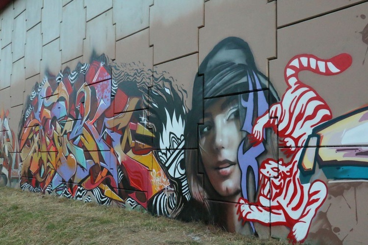 Graffiti przy S17 w Lublinie