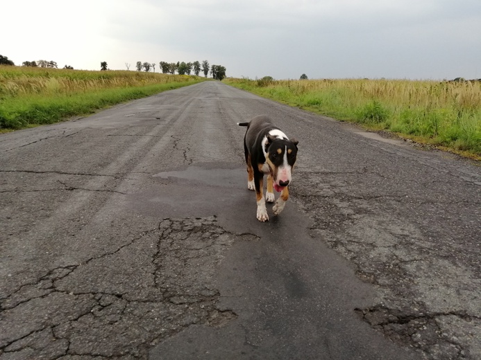 Klerycy idą pieszo na Jasną Górę - dzień 1 - cz. 2