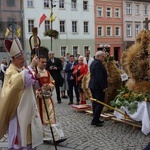 Dożynki wojewódzko-diecezjalne w Niemczy