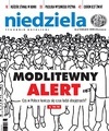 Niedziela 33/2019