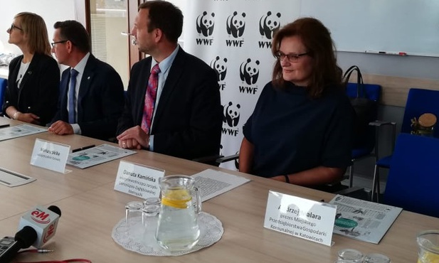Katowice i WWF Polska wspólnie dla środowiska. Ekologiczny program ma być wzorem dla innych miast