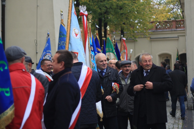 Pielgrzymka hodowców gołębi i orkiestr kalwaryjskich