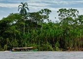 Amazonia