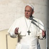 Papież przeprosił za kradzież amazońskich figurek z rzymskiego kościoła