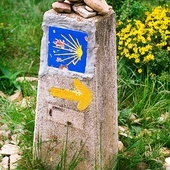 Europejskie Dni Camino de Santiago