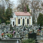 Odwiedzając cmenatarz w Bychawie warto zatrzymać się przy najstarszych grobach.