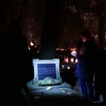 Krakowskie cmentarze po zmroku